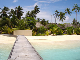 a beach in the maldives