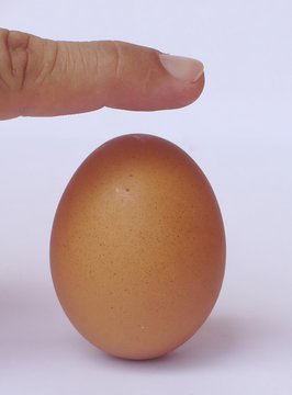 brown egg in equilibrium