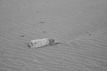 plastic bottle on the sand