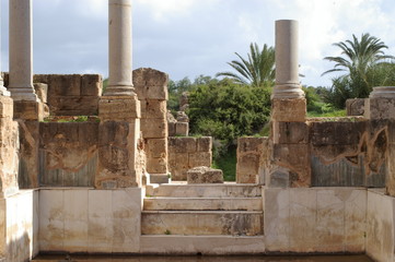 colonnes et palmiers à leptis magna
