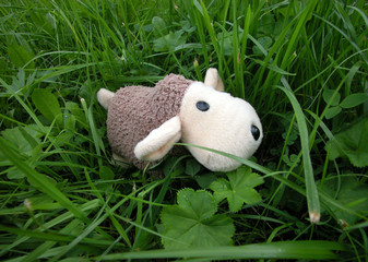 mascot sheep in grass