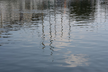 reflets de mats