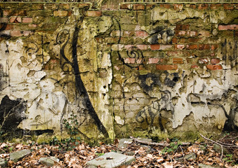 painted wall