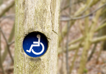 suitable for wheelchairs