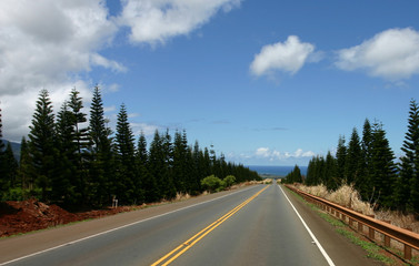 road to northshore
