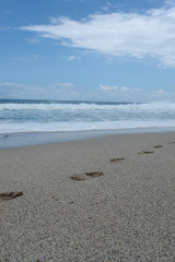 plage tropicale