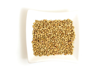 white coriander in square white bowl isolated