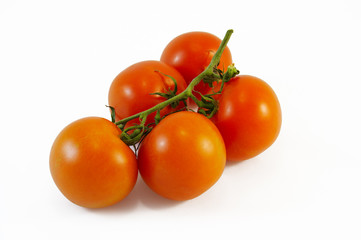tomatos