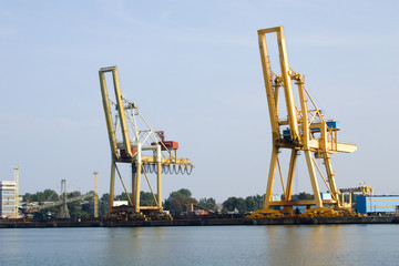 hafenkr&auml;ne an der swiene