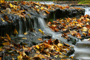 Fototapeta na wymiar jesień wodospad w Estonii