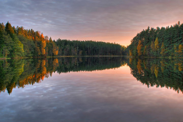 autumn wood