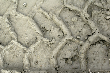 tread in mud