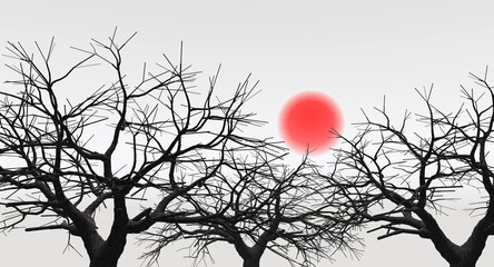 d_sunset_tree