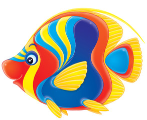 Obraz premium coral fish