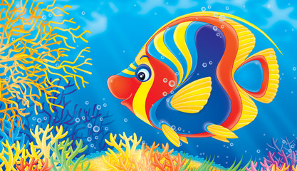 Obraz na płótnie Canvas coral fish