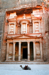 petra - the treasury with camel