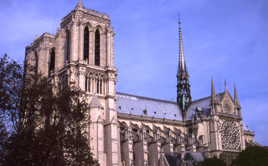 Obraz premium notre dame at day