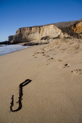 traces on the beach