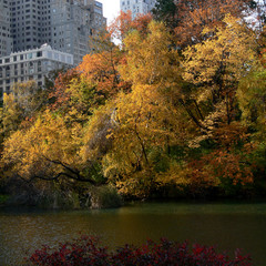 fall_centralpark02