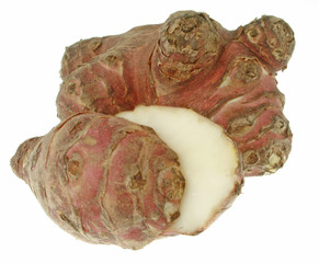 topinambur (helianthus tuberosus)