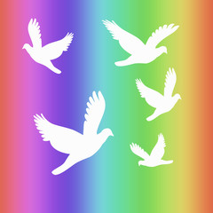 white doves and rainbow