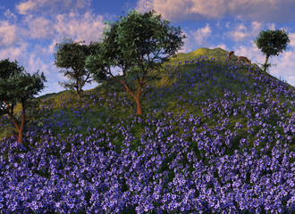 blue flower hillside