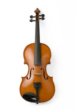 violin on white