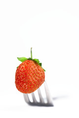 berry