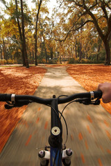 bicycling through fall colors © Wollwerth Imagery