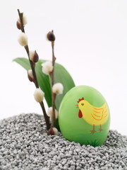 kücken auf der oster insel