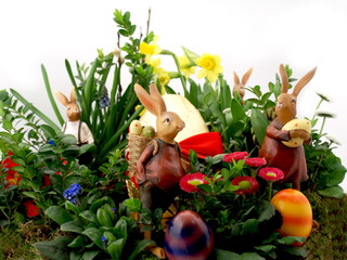 oster garten