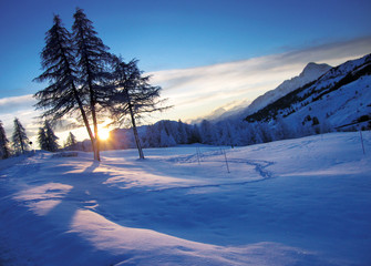 winter landscape