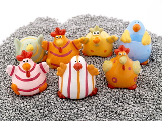 kücken auf der oster insel