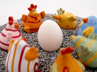 kücken auf der oster insel