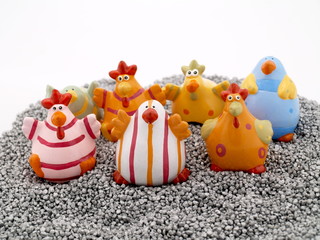 kücken auf der oster insel