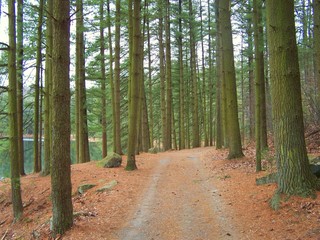mountain road