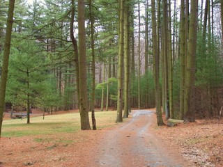 mountain road