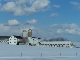 snow farm