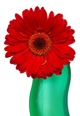 red herber