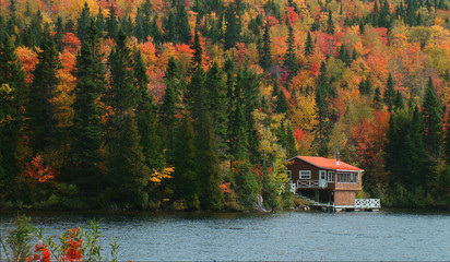 cabane au canada