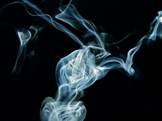 roetgenogram of a allien