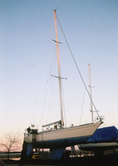 Naklejka premium wrapping for winter