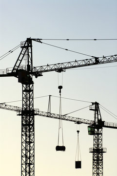 cranes vertical