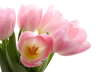 Naklejka premium spring