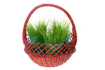 Fototapeta na wymiar grass in basket