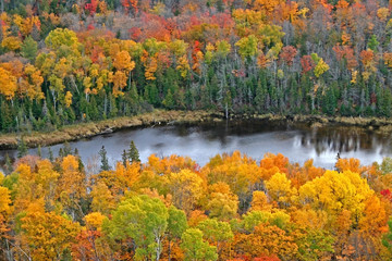 autumn trees around small lake
