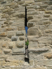 carcassonne wall detail
