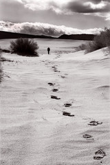 san dune near death valley