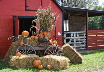halloween scene