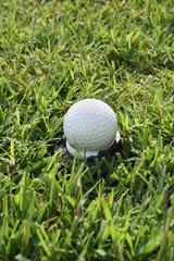 golf ball